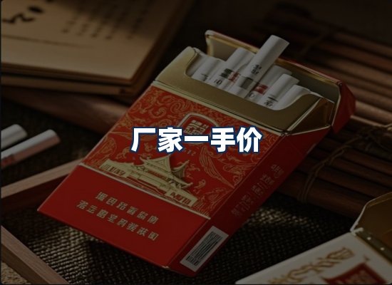 专业团队办公环境